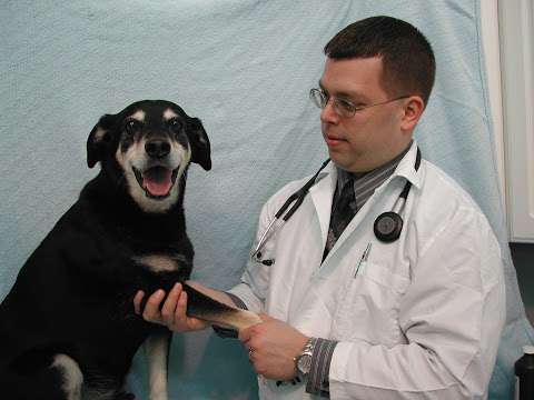 Jobs in Suffolk Veterinary Group Animal Wellness & Laser Surgery Center - reviews